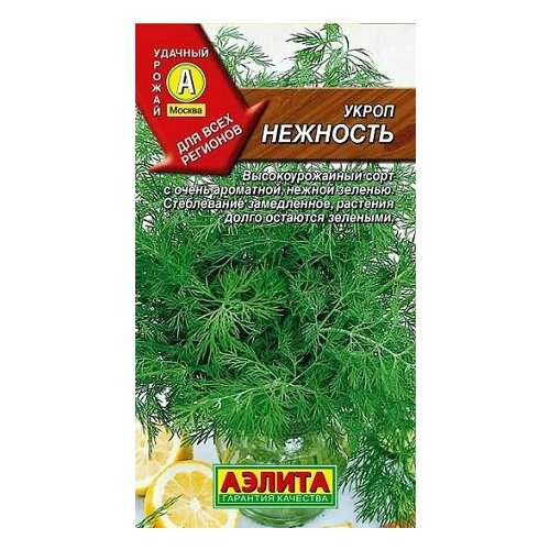 ������ ������ ����� �������� 3� ������ ����