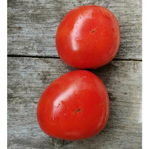 ������ ������ ������������� ������ ������ ���� ��� ����