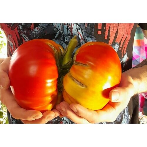 ������ ������ ������������� ������ ������ ������� ��� ��������� ����