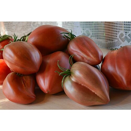 ������ ������ ������������� ������ ������ ���� ��������� ����