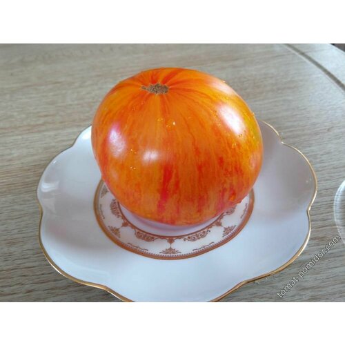 ������ ������ ������������� ������ ������ ������� ��������� ��������� ����