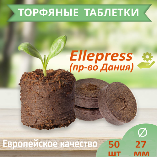    ELLEPRESS 27  50    -     , -,   