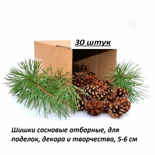 ������ ������ �������� ����� ��� ������, ��������, 30 ���� ����