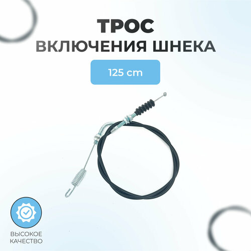 ������ ������ ���� ��������� �����-���� �������������� 125�� ������� ����