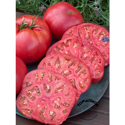 ������ ������ ������������� ������ ������ ������ ������� ����� �3 ����