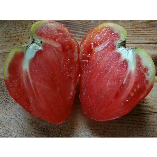 ������ ������ ������������� ������ ������ ������ ������ ����