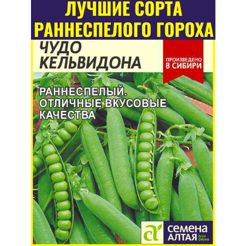 ������ ������ ������ ����� ���� ���������� ����