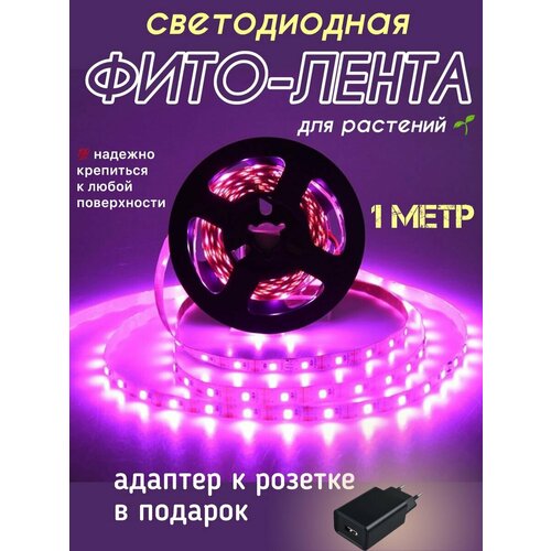 ������ ������ ��������� ������������ ��� �������� ��������� ��� ������� 1 ���� ����