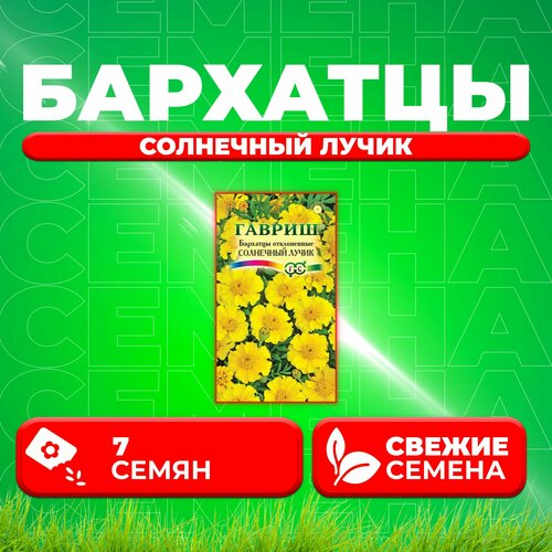 ������ ������ �������� ����������� (�������) ��������� �����, 7��, ������, ��������� ��������� (1 ��) ����