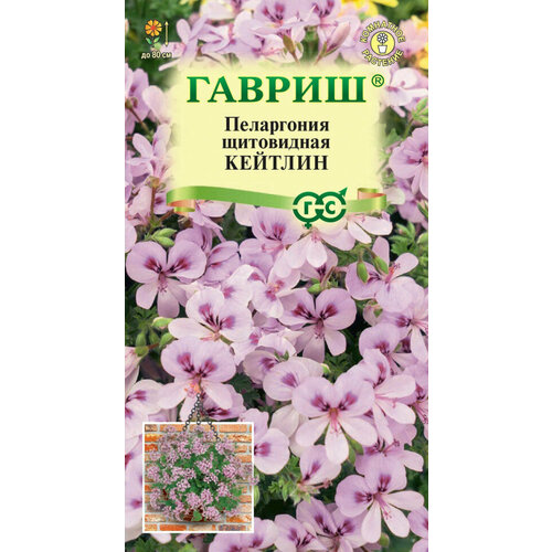 ������ ������ ������ ���������� �������, 3��, ������, ��������� ��������� ����