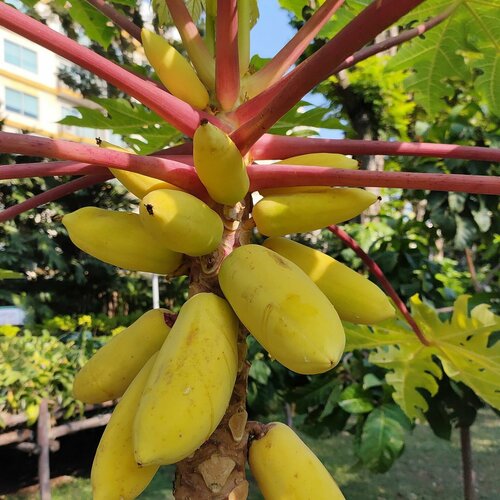 ������ ������ ������ ������ ����� ������ 3 ����� ����