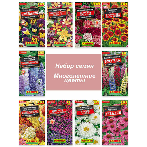 ������ ������ ������ ����������� ������ ��� ���� ����