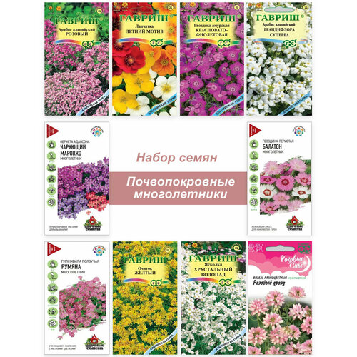 ������ ������ ����� �����, ������ �������������� ����������� ������ ��� ���� ����