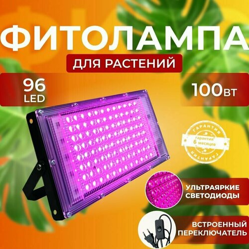 ������ ������ ��������� ��� ����������� �������� ������� ������ ������ �������������� ������������, ����� ��������� ��� ������ � �������� ����