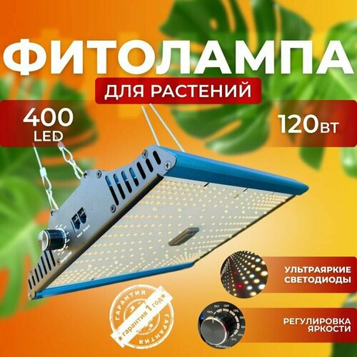 ������ ������ ��������� ��� ����������� �������� ������� ������ ������, ���������������� �������������� ������������ Quantum board, ����� ��������� ��� ������, � �������� 120 ����, ������ ����