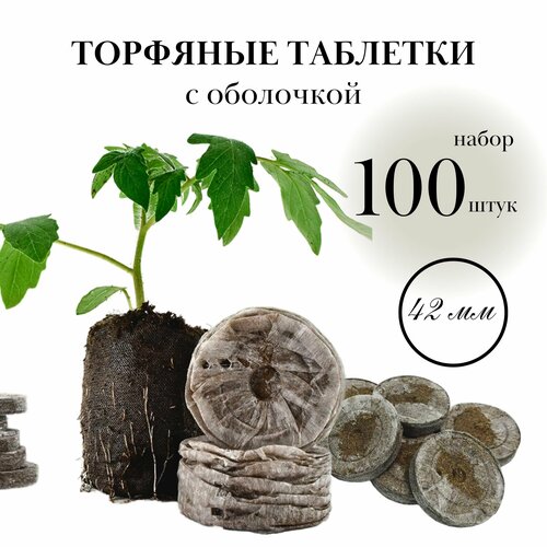 ������ ������ �������� �������� ���� ��� ������� 100��, ������� 4,2�� ����