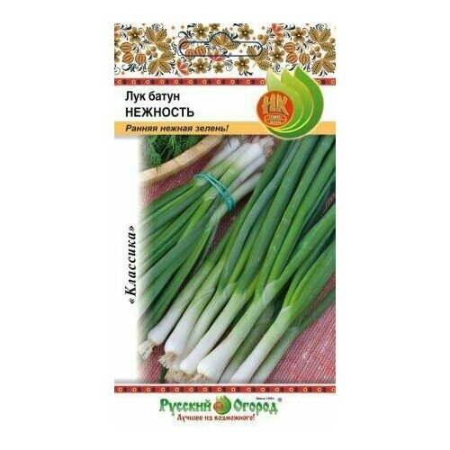 ������ ������ ��� ����� 