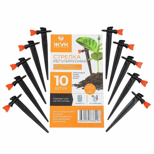 ������ ������ �������� ���������-������� ������������ ���, 10 ��./��. ����