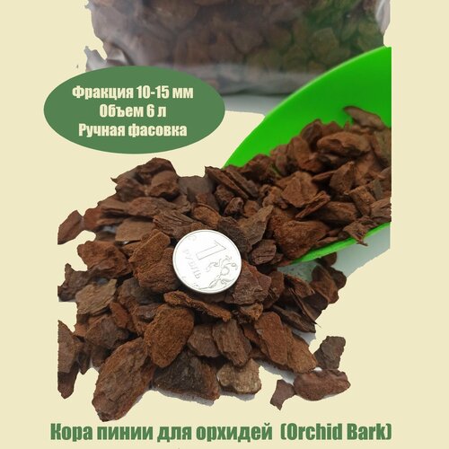      10-15  (Orchid Bark).  6    -     , -,   