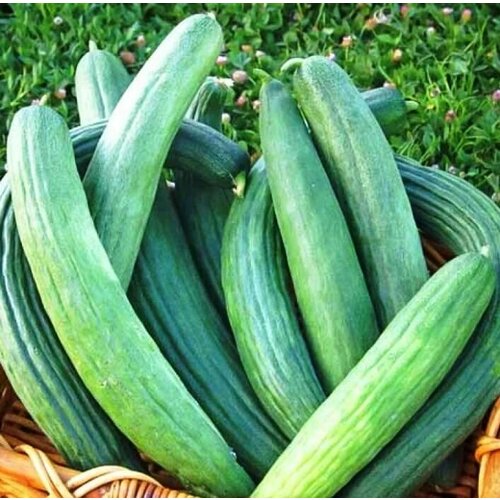 ������ ������ ������������� ������ ���� ��������� ������ 