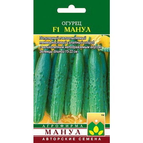 ������ ������ ������ ������ ����� F1 ����