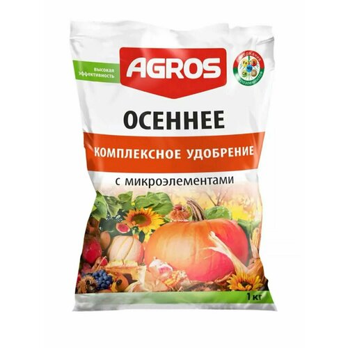 ������ ������ ��������� 