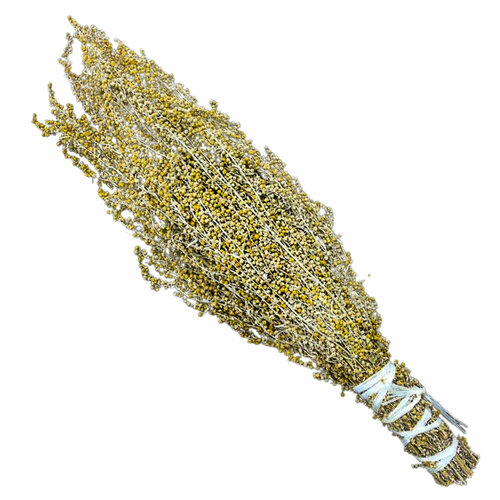 ������ ������ ���� ���� 