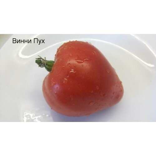 ������ ������ ������������� ������ ������ ����� ��� ����