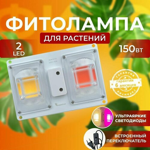 ������ ������ ��������� ��� ����������� �������� ������� ������ ������ �������������� ������������, ����� ��������� ��� ������ � �������� ����