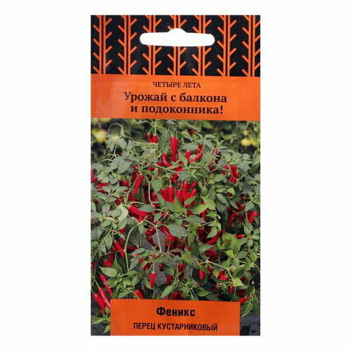 ������ ������ ������ ����� ������ ������������� 