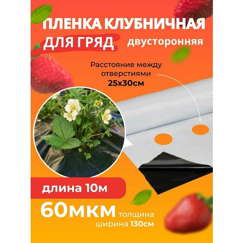 ������ ������ ����� ��� �������� ������������ �����-����� 60��� ����