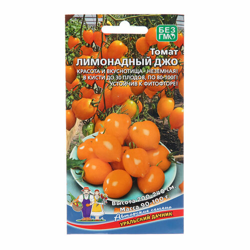 ������ ������ ������ ����� ���������� ��� 12�� ����� (��������� ������) ����