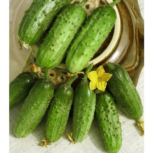 ������ ������ ������������� ������ ������ ��������� �������� ����