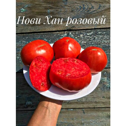 ������ ������ ������������� ������ ������ ����� ������� ��� ����