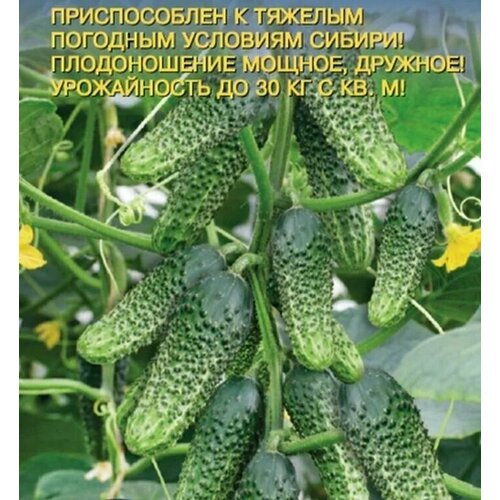 ������ ������ ������������� ������ ������ ������ ����