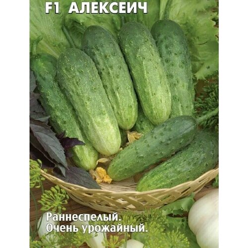 ������ ������ ������������� ������ ������ F1 �������� ����