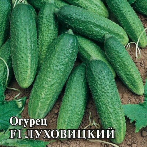 ������ ������ ������������� ������ ������ F1 ���������� ����