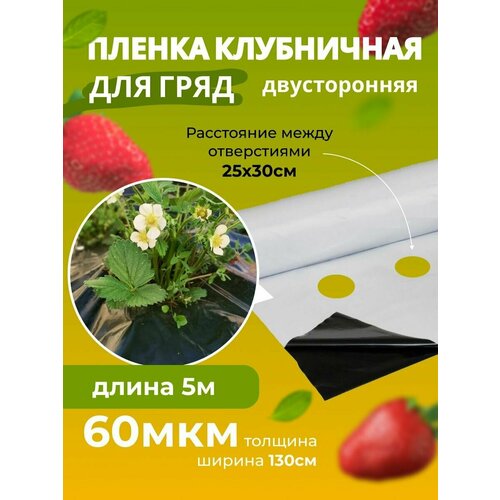 ������ ������ ����� ��� �������� ������������ �����-����� 60��� ����