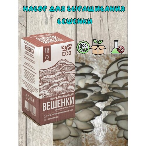 ������ ������ ����� ��� ����������� ������ ������� . ������� �������� (�������� + �������) ����