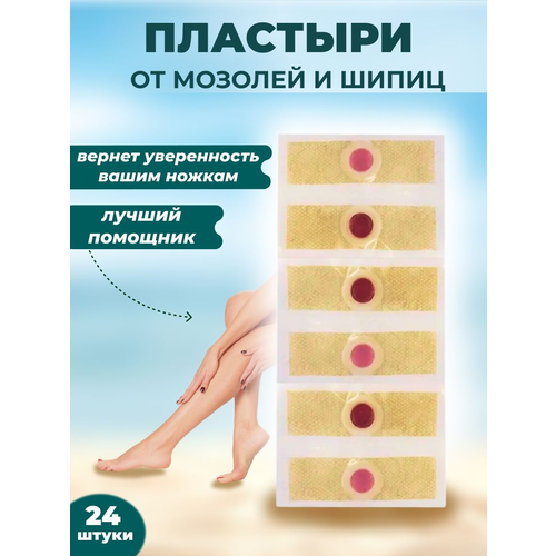 ������ ������ �������� �� �����, ����������, ������� 24 �� ����