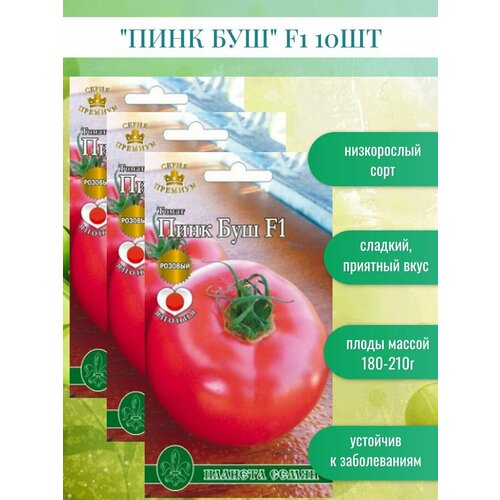 ������ ������ ������ ������ ���� ��� F1 10��* ����