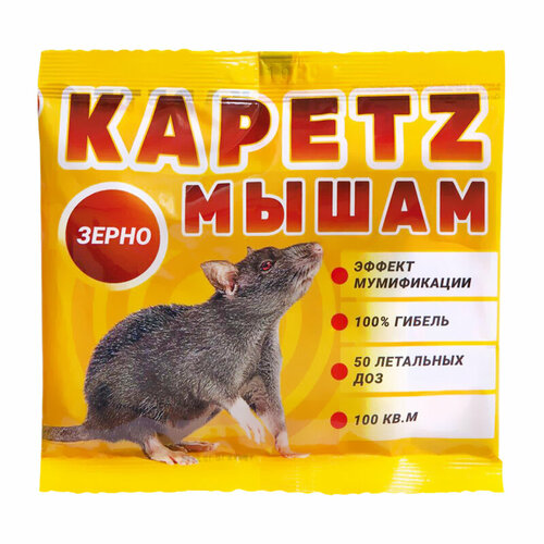 ������ ������ �������� �� ���� � ����� ����� ����� (100 ��) ����