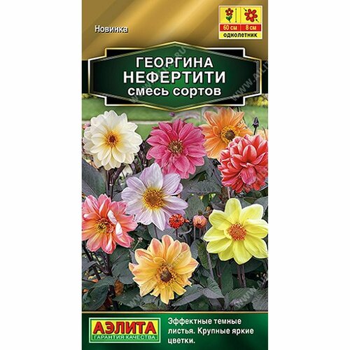 ������ ������ ������ �������� ���������, ����� ������, ����������, (������) 0,3� ������� ����� ����