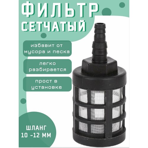 ������ ������ ������ �������� �� ����� 10-12 �� ����