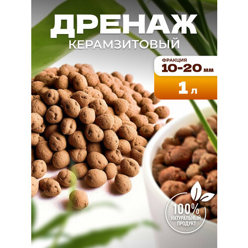 ������ ������ ������ �������, �������� ��� ������ � �������� 1 � InHome Green ����