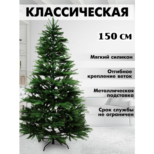 ������ ������ ������������� ���� 