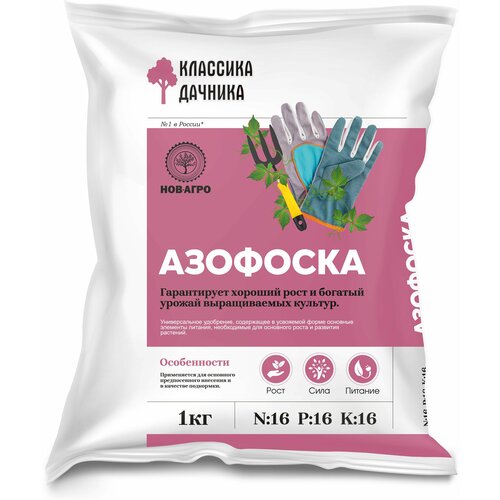 ������ ������ ��������� ����������� �������� ������� �������� 1 �� ����