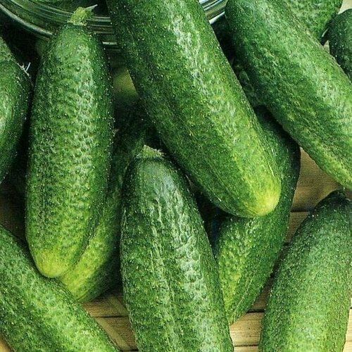 ������ ������ ������������� ������ ������ F1 ����� ����