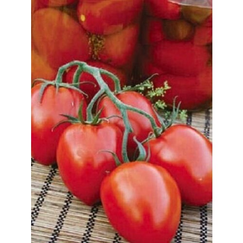 ������ ������ ������������� ������ ������ �������� ����