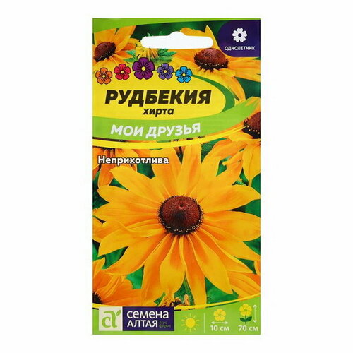 ������ ������ ������ �������� 